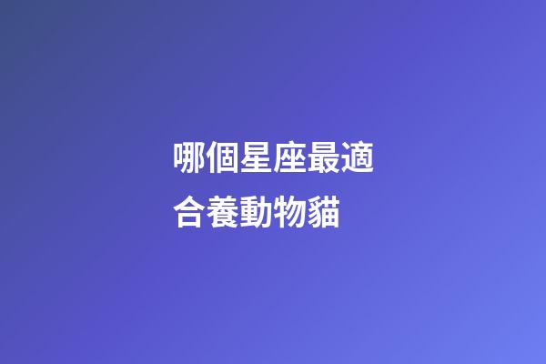 哪個星座最適合養動物貓-第1張-星座運勢-玄機派
