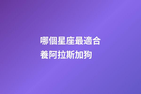 哪個星座最適合養阿拉斯加狗-第1張-星座運勢-玄機派