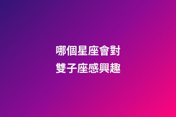 哪個星座會對雙子座感興趣-第1張-星座運勢-玄機派