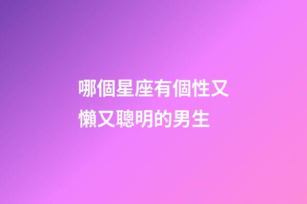 哪個星座有個性又懶又聰明的男生-第1張-星座運勢-玄機派
