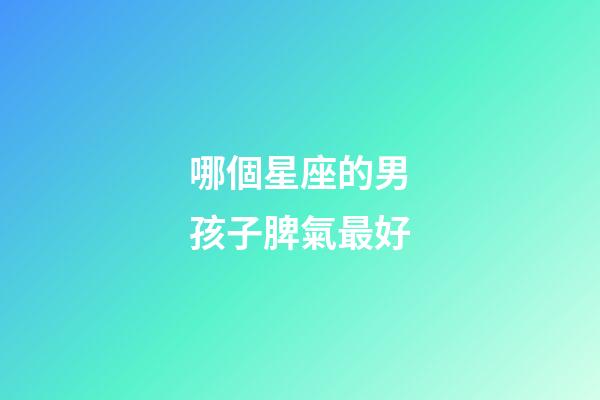 哪個星座的男孩子脾氣最好-第1張-星座運勢-玄機派