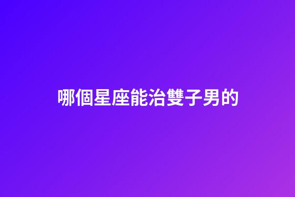 哪個星座能治雙子男的-第1張-星座運勢-玄機派