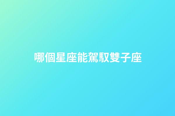 哪個星座能駕馭雙子座（什么星座治得了雙子座）-第1張-星座運勢-玄機派