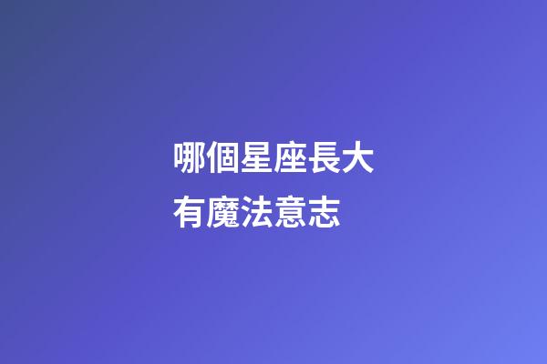 哪個星座長大有魔法意志-第1張-星座運勢-玄機派