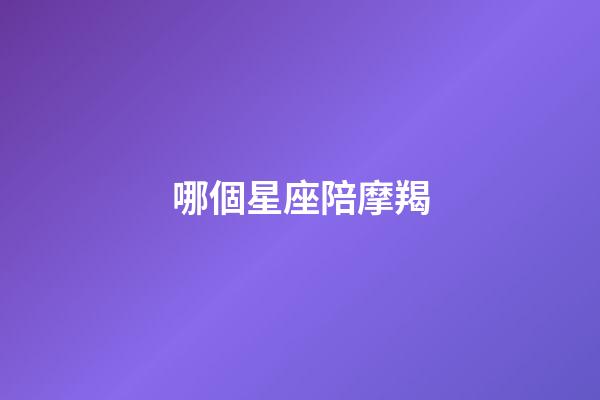 哪個星座陪摩羯-第1張-星座運勢-玄機派