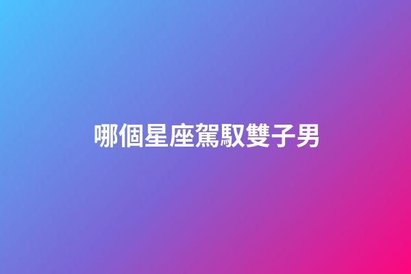 哪個星座駕馭雙子男-第1張-星座運勢-玄機派
