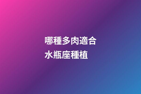 哪種多肉適合水瓶座種植-第1張-星座運勢-玄機派