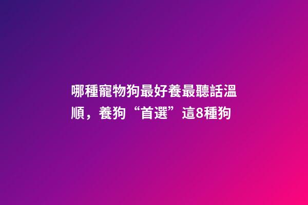 哪種寵物狗最好養最聽話溫順，養狗“首選”這8種狗-第1張-觀點-玄機派