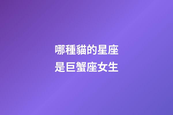 哪種貓的星座是巨蟹座女生-第1張-星座運勢-玄機派