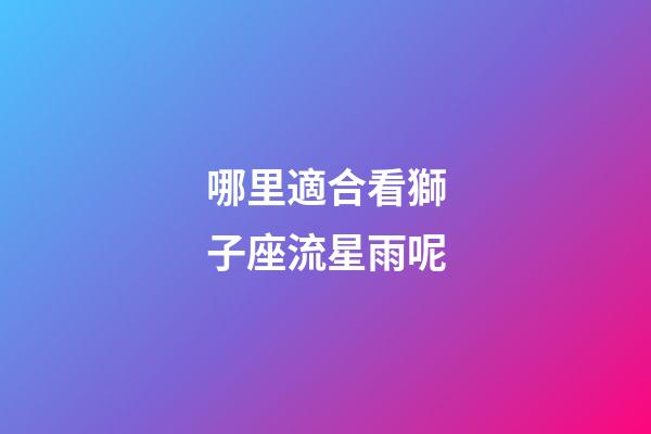 哪里適合看獅子座流星雨呢-第1張-星座運勢-玄機派