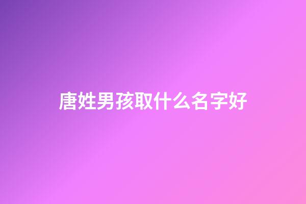 唐姓男孩取什么名字好(唐姓男寶寶取名字)-第1張-男孩起名-玄機派