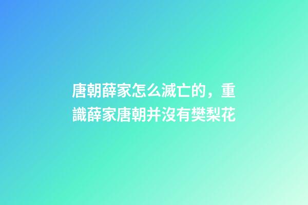 唐朝薛家怎么滅亡的，重識薛家(三六)唐朝并沒有樊梨花