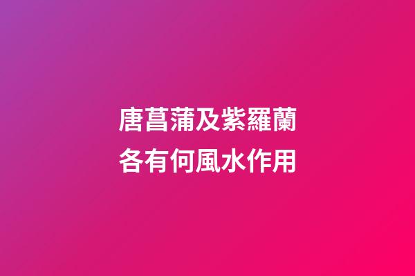 唐菖蒲及紫羅蘭各有何風水作用?