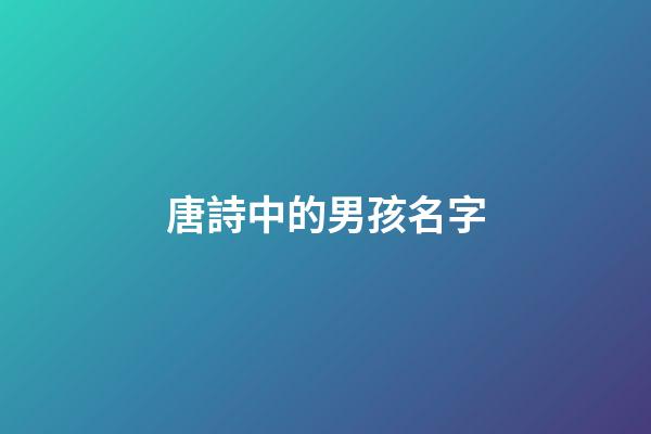 唐詩中的男孩名字(唐詩里面的男孩名字)-第1張-男孩起名-玄機(jī)派