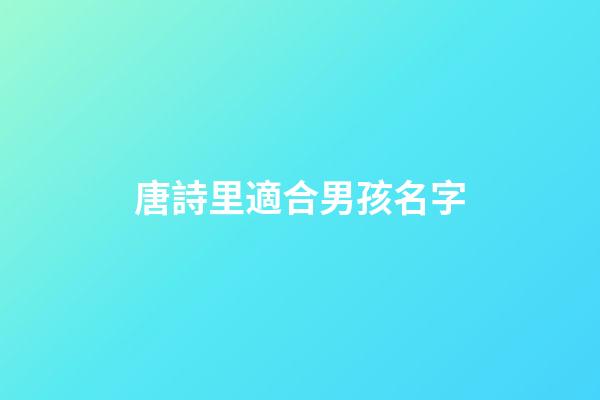 唐詩里適合男孩名字(唐詩給男孩子取名字)-第1張-男孩起名-玄機派
