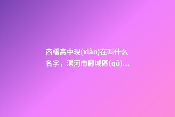 商橋高中現(xiàn)在叫什么名字，漯河市郾城區(qū)商橋鎮(zhèn)四字方針抓好村級(jí)后備干部培育-第1張-觀點(diǎn)-玄機(jī)派