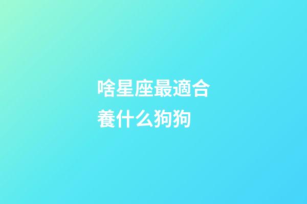 啥星座最適合養什么狗狗-第1張-星座運勢-玄機派