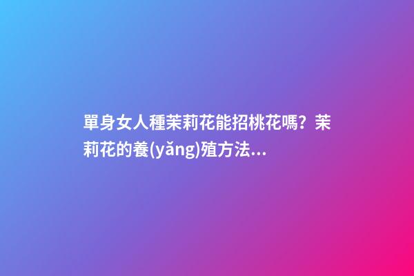 單身女人種茉莉花能招桃花嗎？茉莉花的養(yǎng)殖方法（怎樣種植茉莉花才多花）