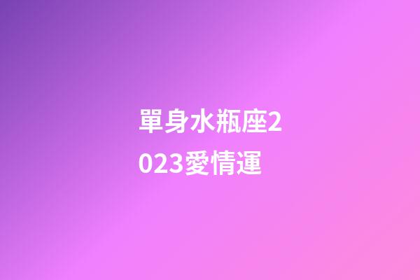 單身水瓶座2023愛情運-第1張-星座運勢-玄機派