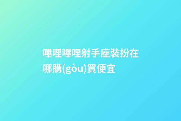 嗶哩嗶哩射手座裝扮在哪購(gòu)買便宜