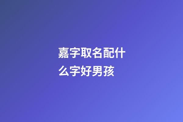 嘉字取名配什么字好男孩(與嘉字搭配的男孩名字)-第1張-男孩起名-玄機派