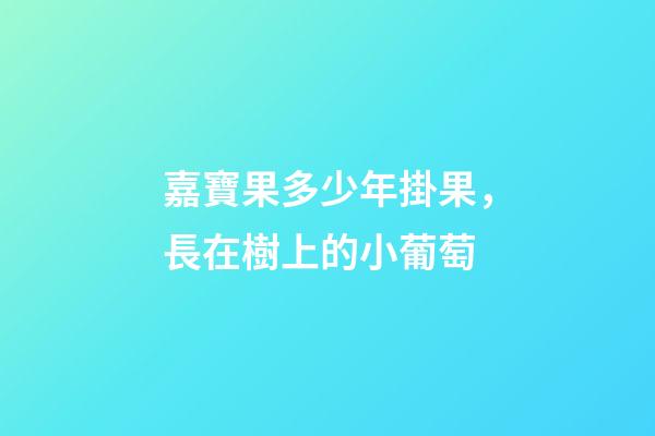 嘉寶果多少年掛果，長在樹上的小葡萄-第1張-觀點-玄機派