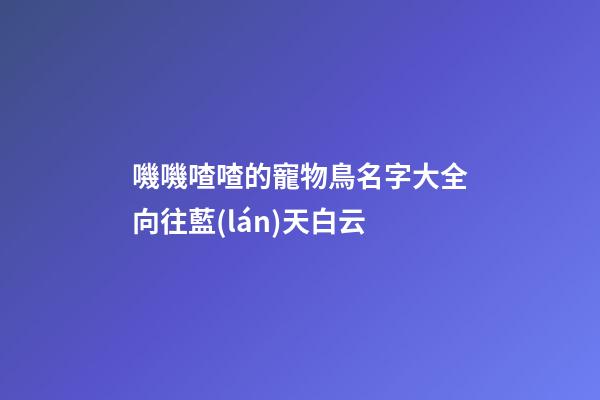 嘰嘰喳喳的寵物鳥名字大全向往藍(lán)天白云