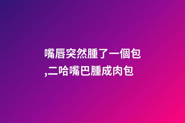 嘴唇突然腫了一個包,二哈嘴巴腫成肉包-第1張-觀點-玄機派