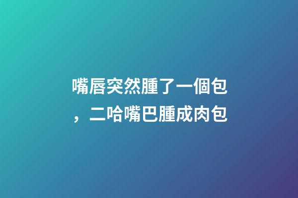 嘴唇突然腫了一個包，二哈嘴巴腫成肉包-第1張-觀點-玄機派