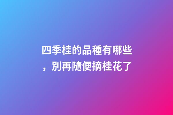 四季桂的品種有哪些，別再隨便摘桂花了-第1張-觀點-玄機派