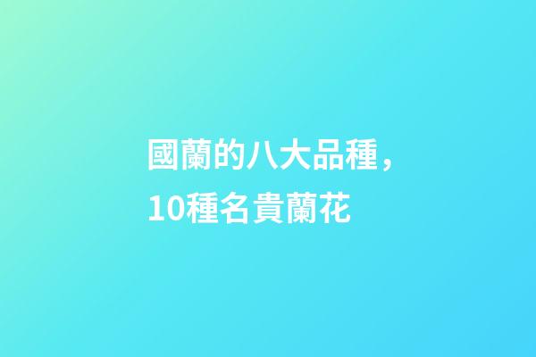 國蘭的八大品種，10種名貴蘭花