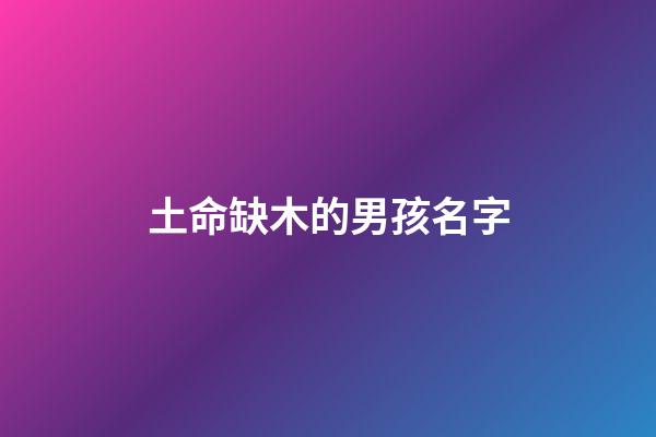 土命缺木的男孩名字(缺土缺木的男孩洋氣名字)-第1張-男孩起名-玄機派