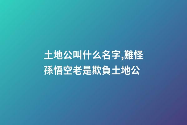 土地公叫什么名字,難怪孫悟空老是欺負土地公-第1張-觀點-玄機派