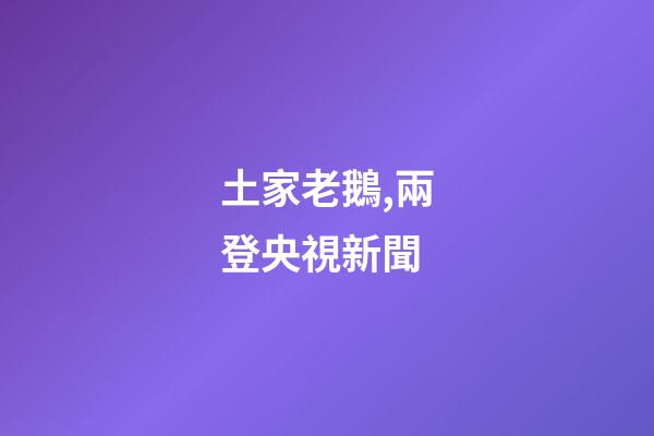 土家老鵝,兩登央視新聞-第1張-觀點-玄機派