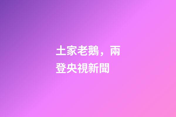 土家老鵝，兩登央視新聞-第1張-觀點-玄機派