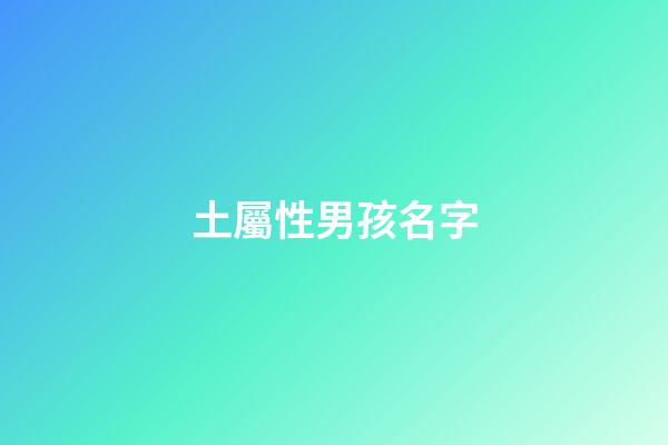 土屬性男孩名字(屬性土的字男孩名字)-第1張-男孩起名-玄機派