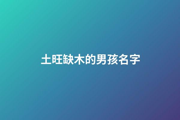 土旺缺木的男孩名字(屬土缺木的名字男孩)-第1張-男孩起名-玄機派