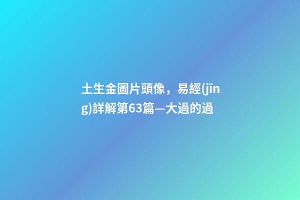 土生金圖片頭像，易經(jīng)詳解第63篇—大過的過-第1張-觀點(diǎn)-玄機(jī)派