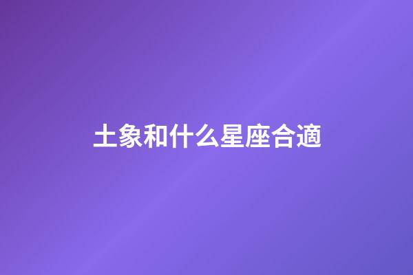 土象和什么星座合適-第1張-星座運勢-玄機派