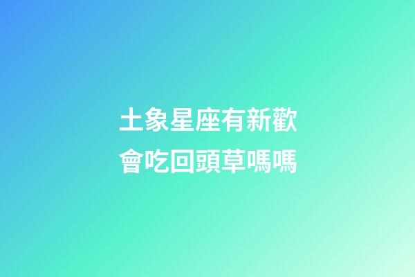 土象星座有新歡會吃回頭草嗎嗎-第1張-星座運勢-玄機派