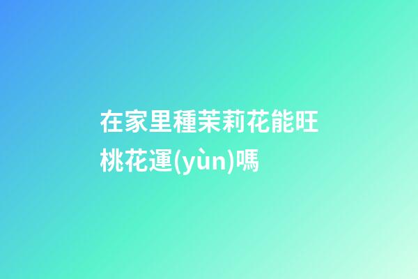 在家里種茉莉花能旺桃花運(yùn)嗎