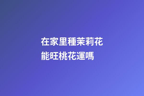 在家里種茉莉花能旺桃花運嗎