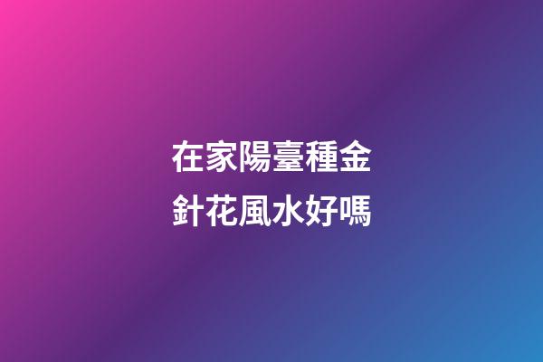 在家陽臺種金針花風水好嗎