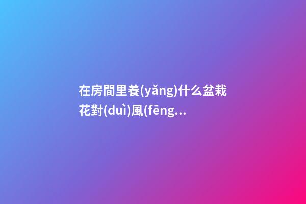 在房間里養(yǎng)什么盆栽花對(duì)風(fēng)水好