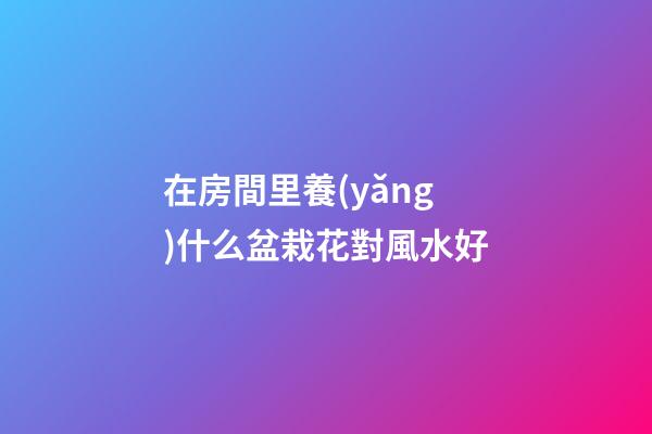 在房間里養(yǎng)什么盆栽花對風水好