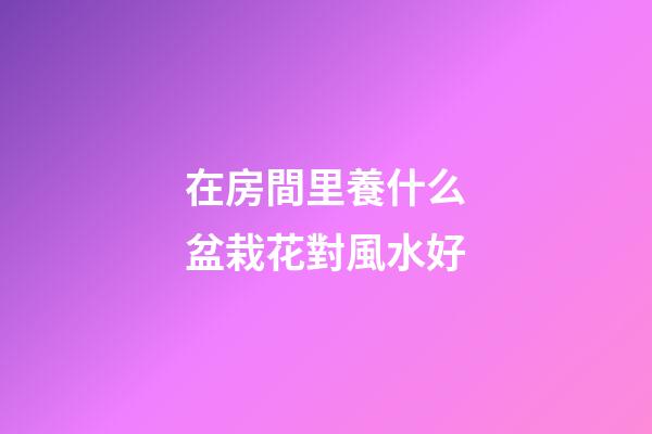 在房間里養什么盆栽花對風水好