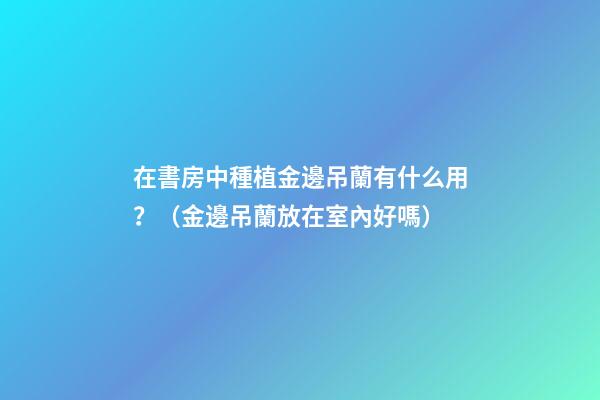 在書房中種植金邊吊蘭有什么用？（金邊吊蘭放在室內好嗎）