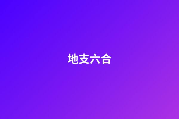 地支六合
