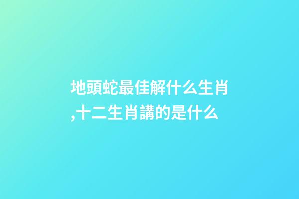 地頭蛇最佳解什么生肖,十二生肖講的是什么-第1張-觀點(diǎn)-玄機(jī)派