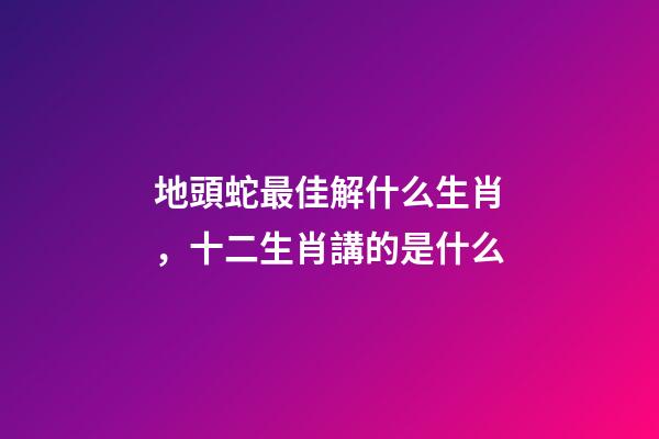 地頭蛇最佳解什么生肖，十二生肖講的是什么-第1張-觀點(diǎn)-玄機(jī)派